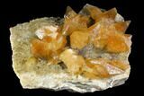 Plate Of Golden, Twinned Calcite Crystals - Morocco #115207-2